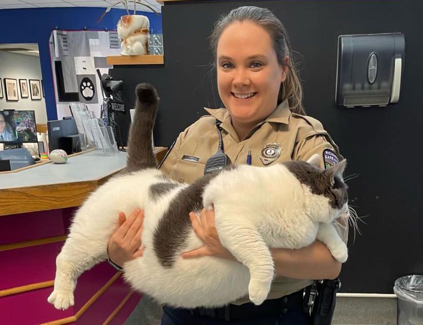 “Gloriously Gluttonous” 40-Pound Cat Adopted From Virginia Shelter