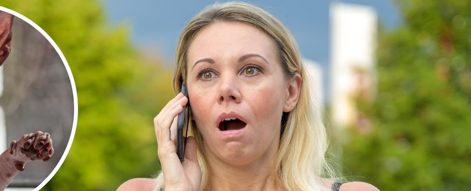 Realtor terrified by pair of hairless cats leaves internet in stitches