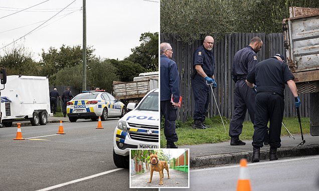 Christchurch dog breeder attacked by pets and mauled to death found naked as cops take canines in