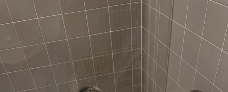 Fargo shelter pleads for help as 6 dogs face euthanization