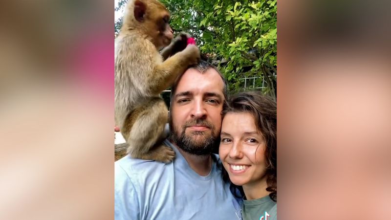 These Ukrainian veterinarians are risking their lives to care for dogs and cats in the war zone | CNN