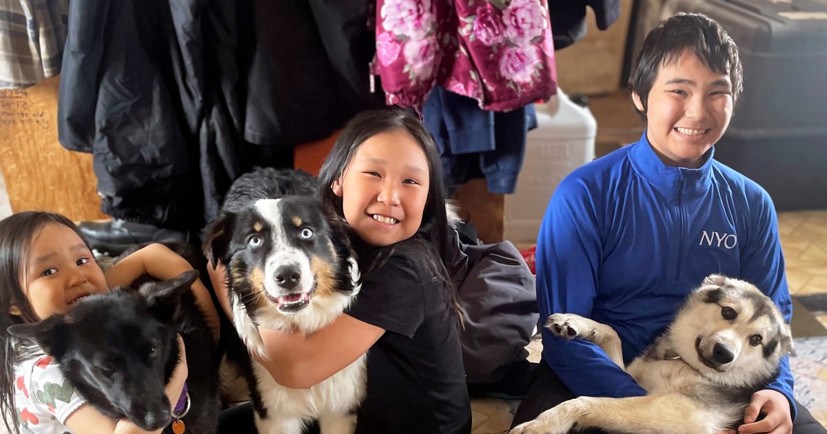 Lost Dog That Took Journey Across Alaskan Sea Ice Is Back Home
