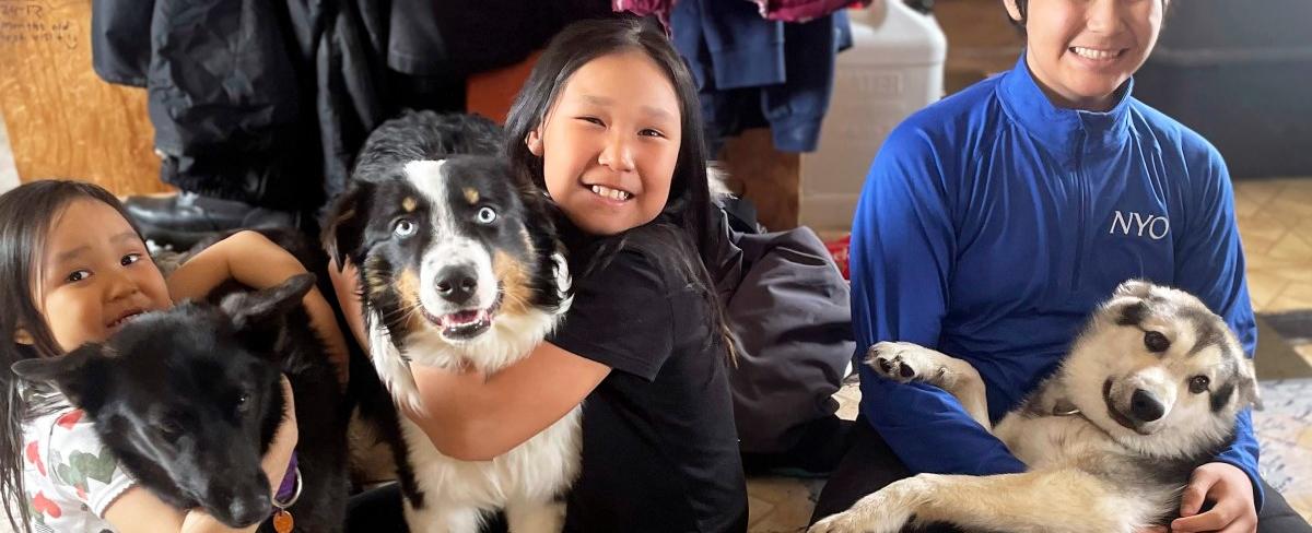 Lost Dog That Took Journey Across Alaskan Sea Ice Is Back Home