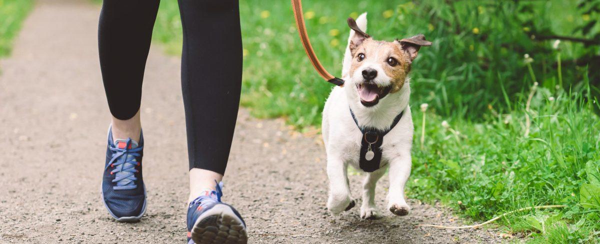 Clearlink CEO under fire for praising worker who sold dog to return to office
