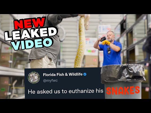 Who is lying? FWC Officers "Accidentally" Destroy Pet With Nail gun