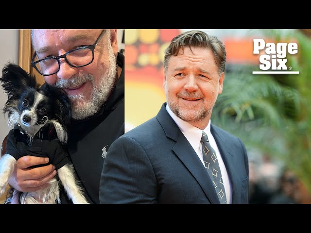 Russell Crowe’s puppy dies in his arms after being hit by truck 