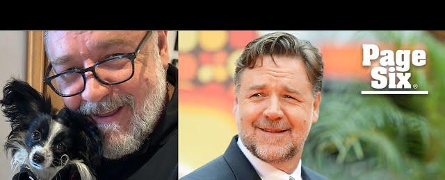 Russell Crowe’s puppy dies in his arms after being hit by truck