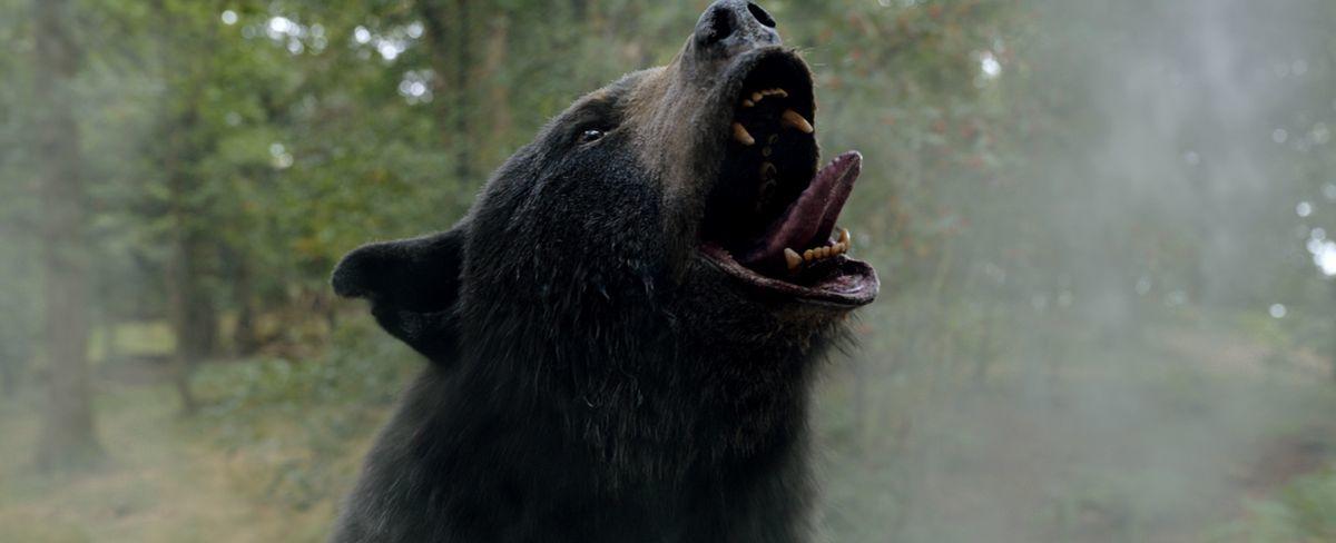 Cocaine Bear, Netflix’s Last Kingdom movie, and every new movie to watch