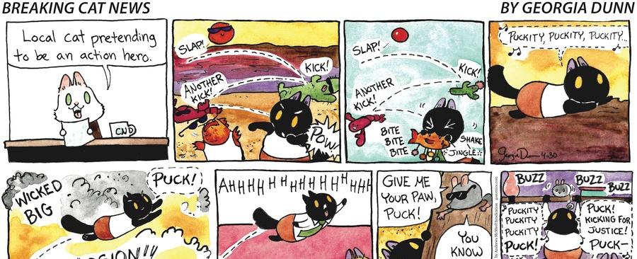 Breaking Cat News by Georgia Dunn for April 30, 2023