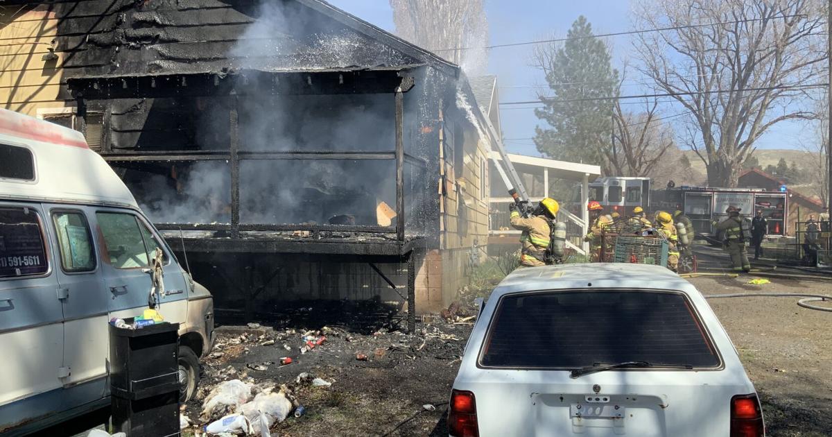 Three dogs, multiple birds die in residential structure fire