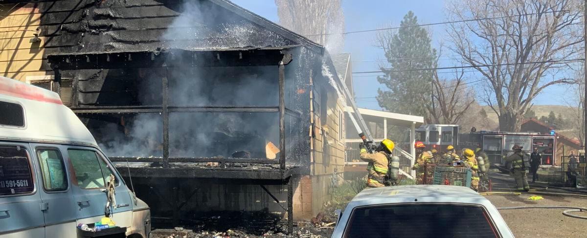 Three dogs, multiple birds die in residential structure fire