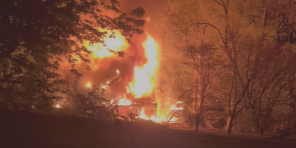 Two dogs, cat die in Springfield house fire