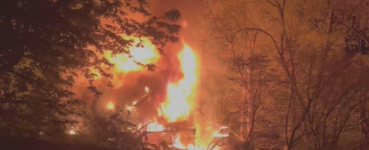 Two dogs, cat die in Springfield house fire