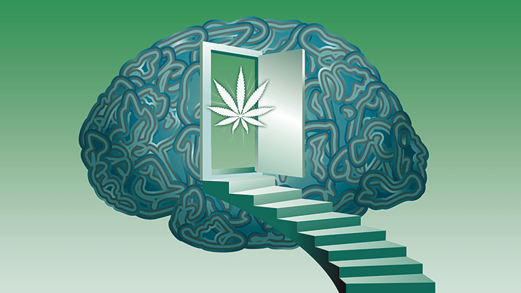 Tourette Syndrome Patients Report Quality of Life Improvements Following Cannabis Therapy