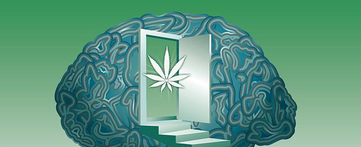 Tourette Syndrome Patients Report Quality of Life Improvements Following Cannabis Therapy