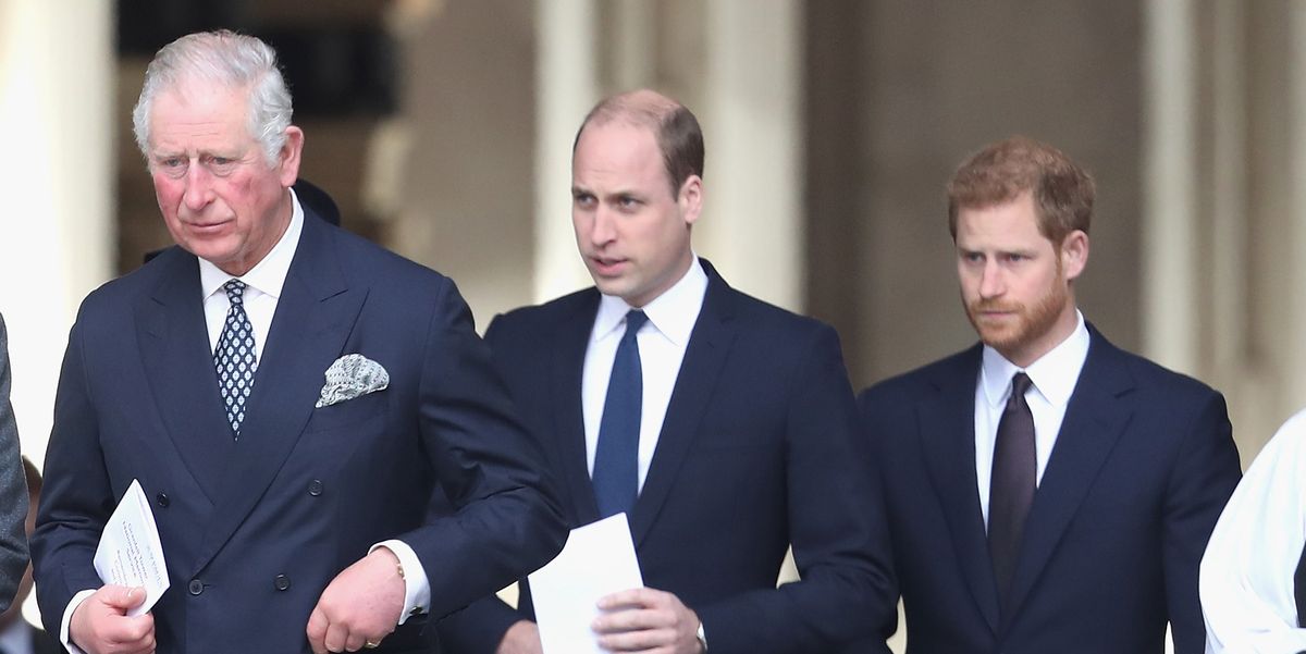 Where Prince Harry's Relationships With King Charles and Prince William Stand Before Coronation