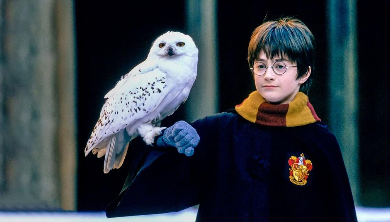 Harry Potter TV series close to reality for Warner Bros. Discovery, report claims