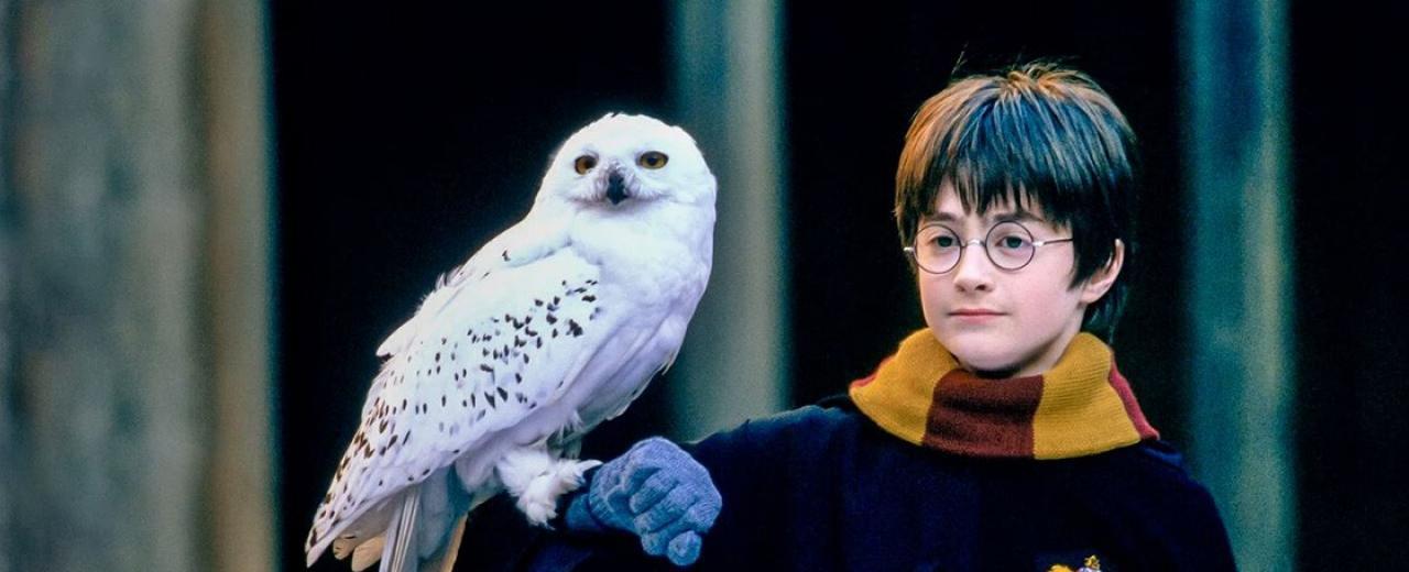 Harry Potter TV series close to reality for Warner Bros. Discovery, report claims