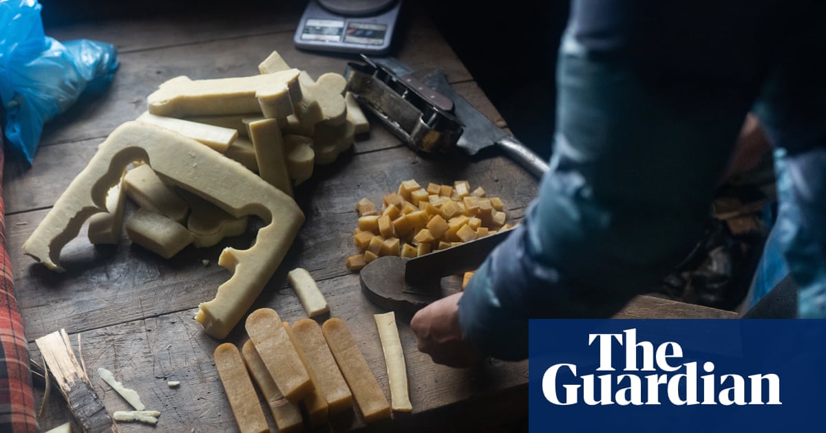 Curd instinct: ancient Nepali food reborn as dog chews in US