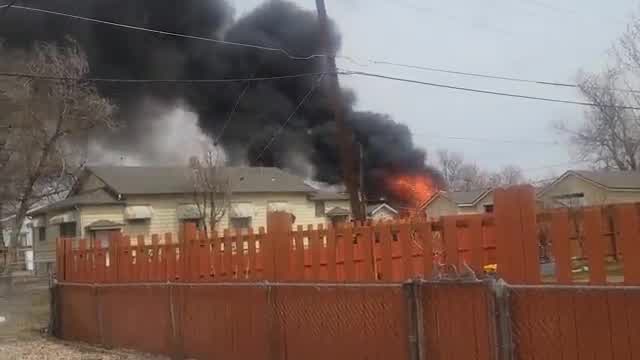 Pet rescued from fire that heavily damaged Adams County home