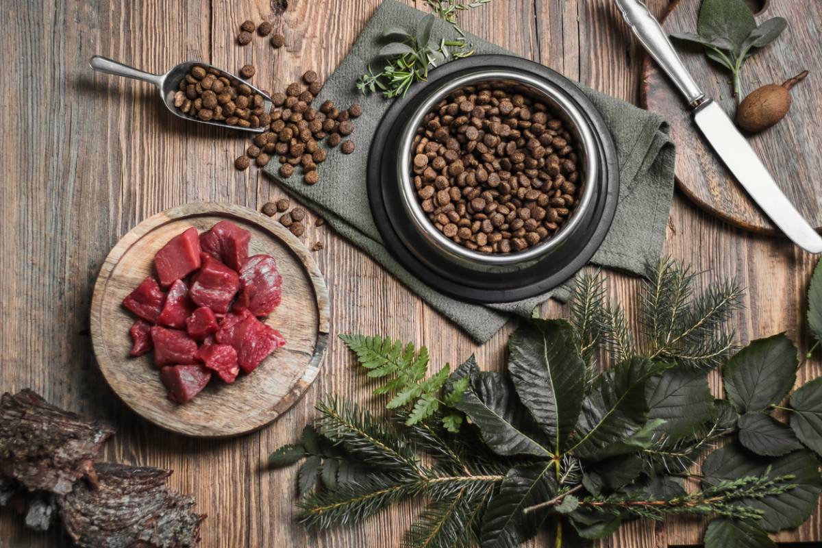 The fitness influencer who tried eating dog food for protein!