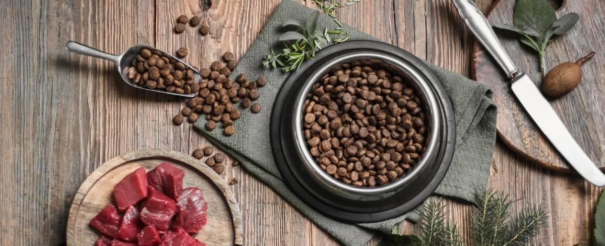 The fitness influencer who tried eating dog food for protein!