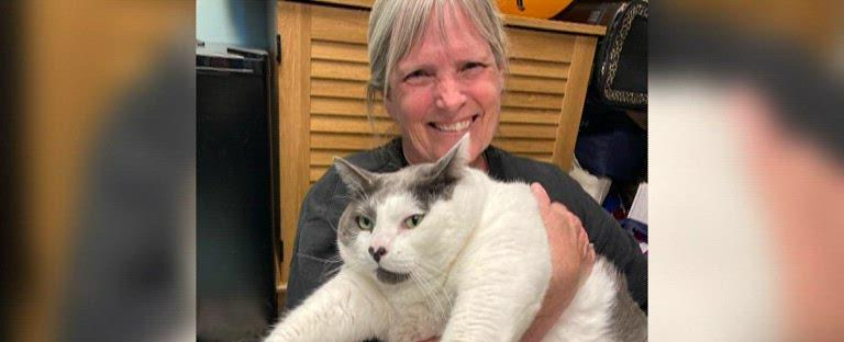 'Patches,' the 42-pound cat, finds a home