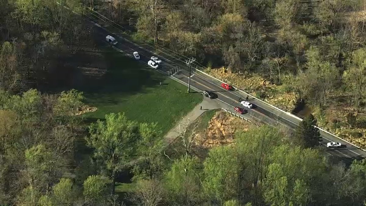 Teen Critically Hurt, 2 Dogs Dead After Car Hits Them in Montgomery County