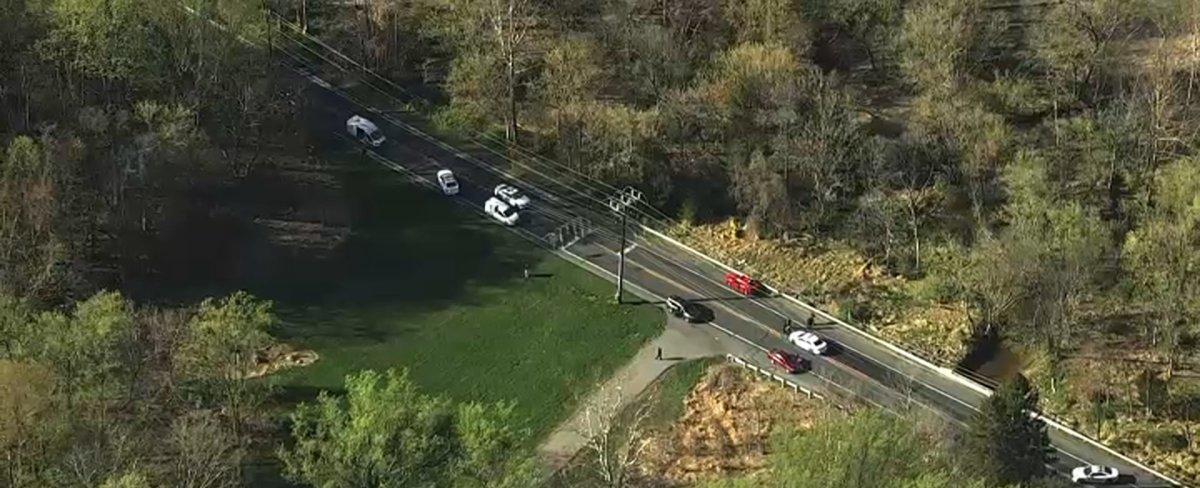 Teen Critically Hurt, 2 Dogs Dead After Car Hits Them in Montgomery County
