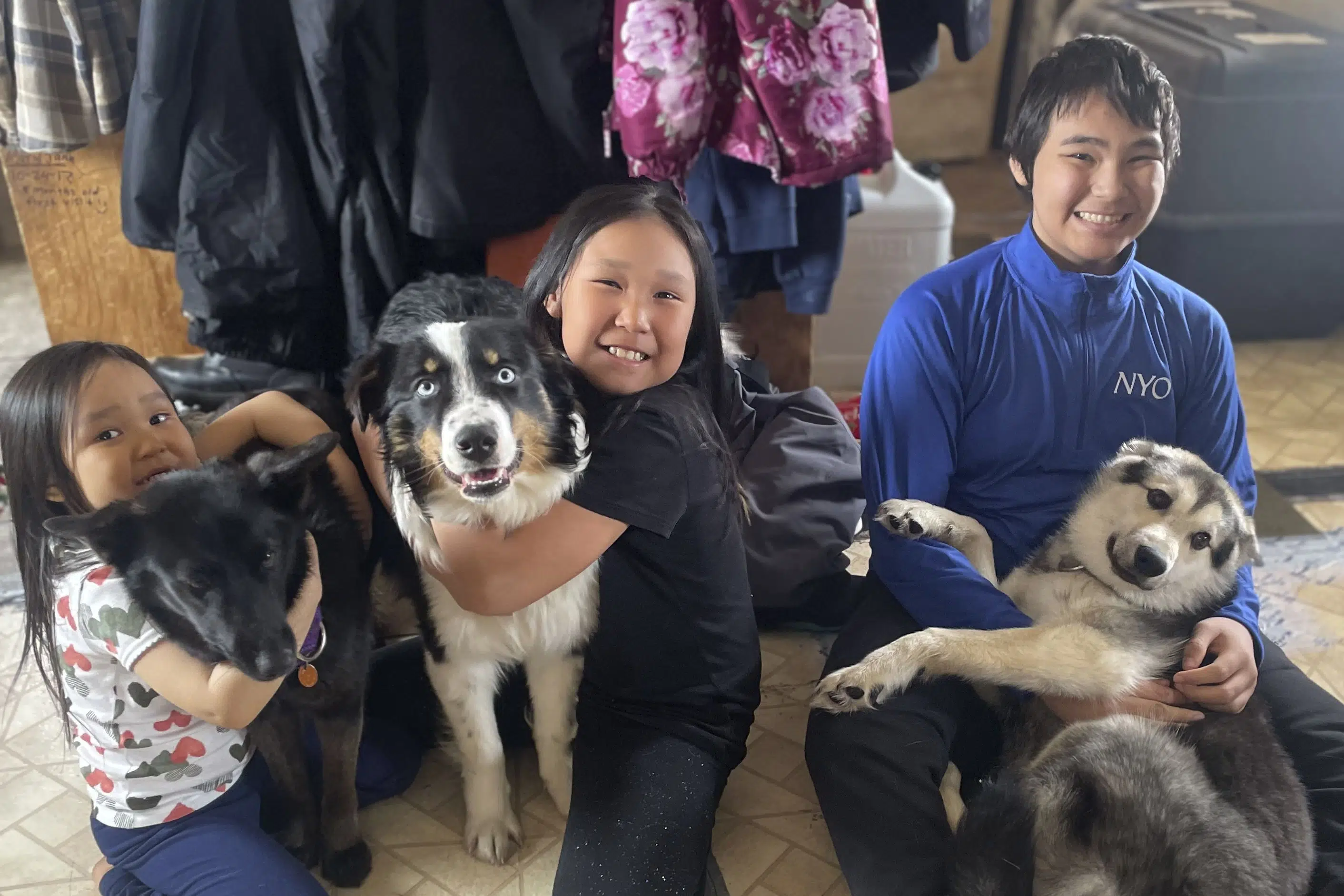 Pet arrives home, dog-tired, after Alaskan sea-ice odyssey