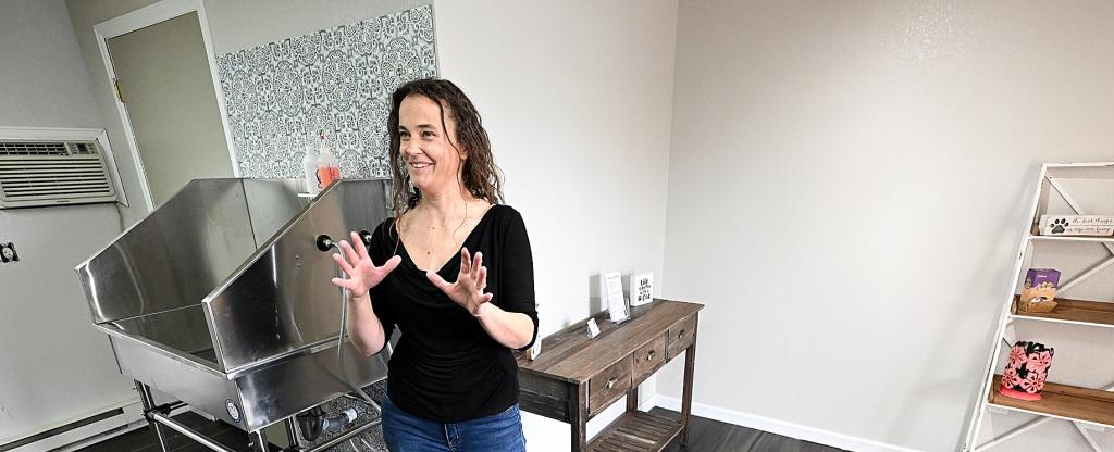 Exclusive cat grooming salon expected to open in May