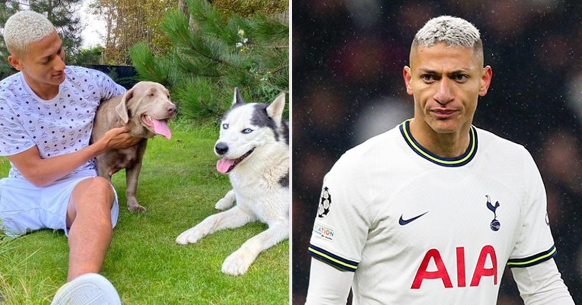 Tottenham star Richarlison 'faces RSPCA investigation' over his dogs