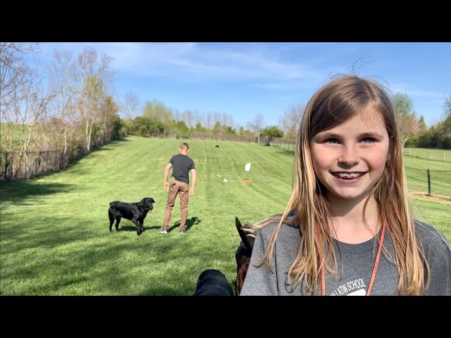 Training Dogs and Children on This Beautiful Easter Sunday Afternoon!