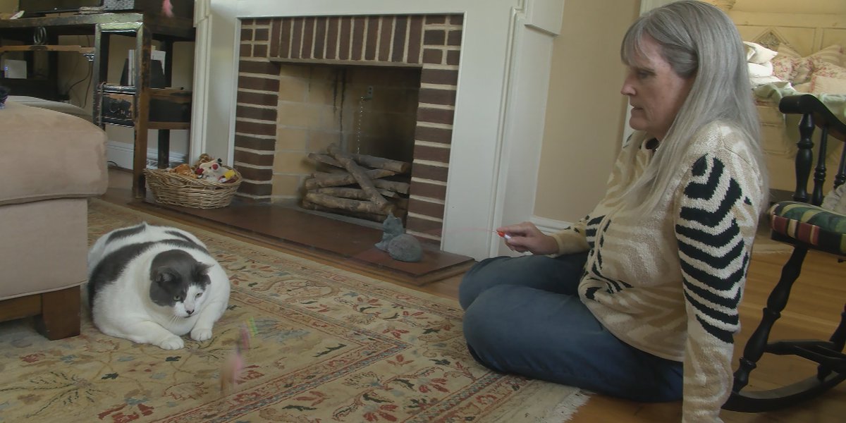 ‘I just wanted to help’: Woman who adopted Patches, the 40-pound cat, joins his weight-loss journey