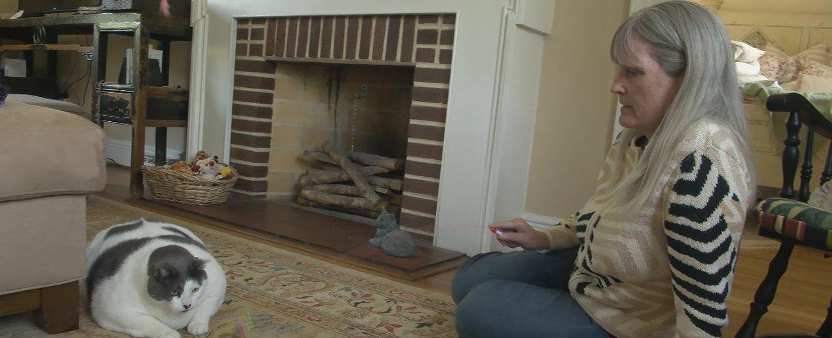 ‘I just wanted to help’: Woman who adopted Patches, the 40-pound cat, joins his weight-loss journey