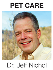 Pet care: A dog's boundaries deserve respect