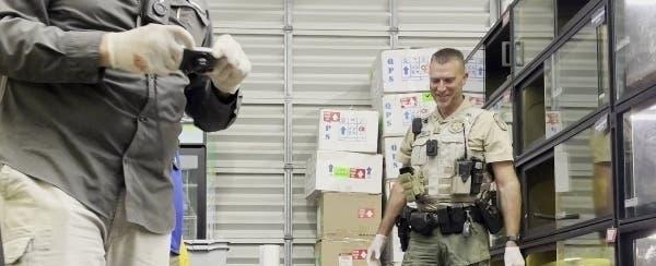 Vet Calls FWC Slaughter Of 35 Pet Snakes 'Cruel,' 'Unconscionable'