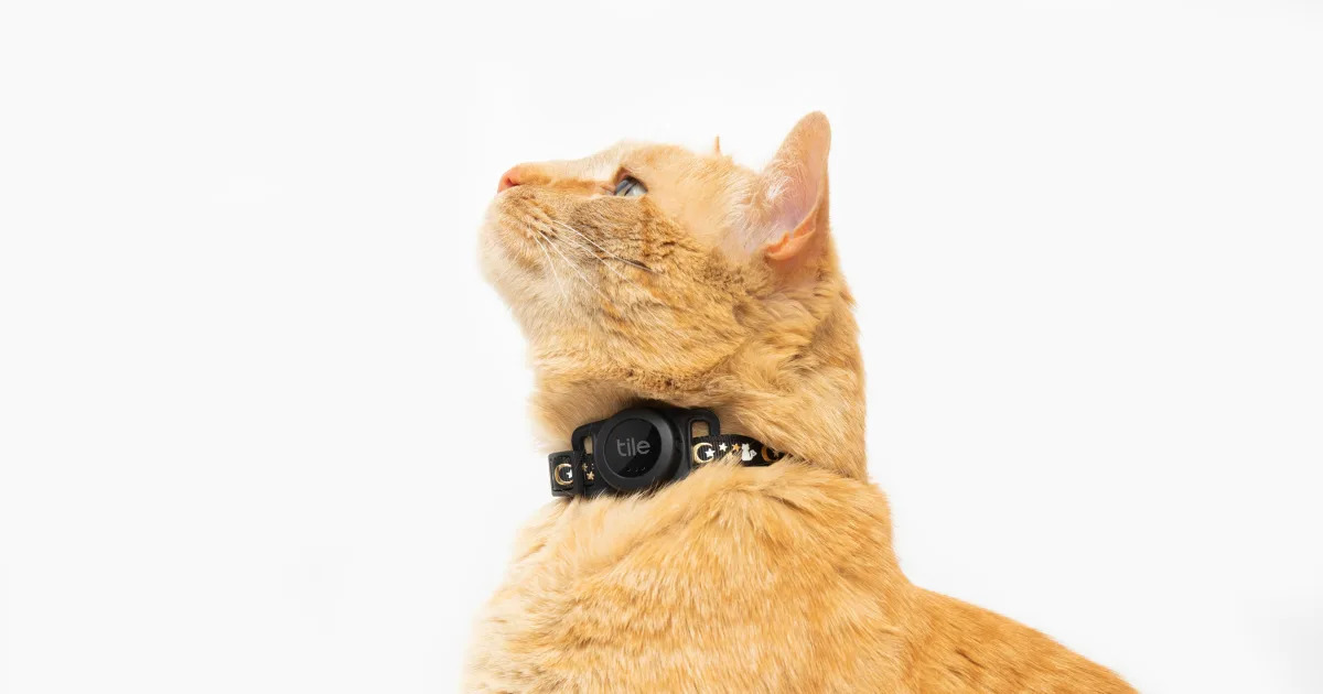 Tile's latest accessory helps track your cat | Engadget