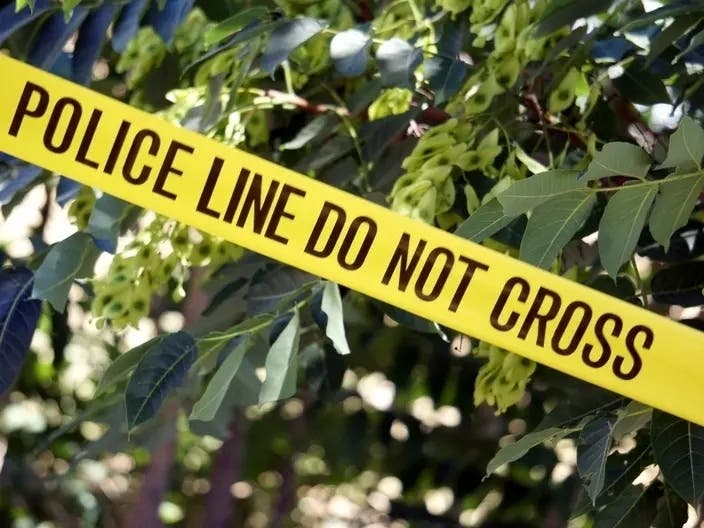 Woman, 2 Dogs Die In At-Home Shooting; Costco Opening: RI Top Stories