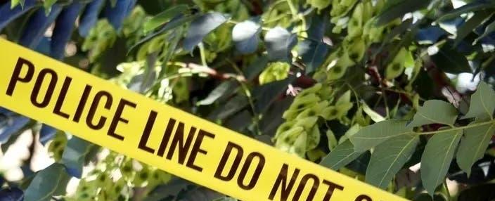 Woman, 2 Dogs Die In At-Home Shooting; Costco Opening: RI Top Stories