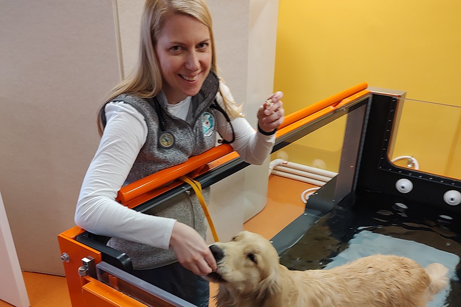 A Boston Vet Explains How to Keep Your Pet Happy and Healthy