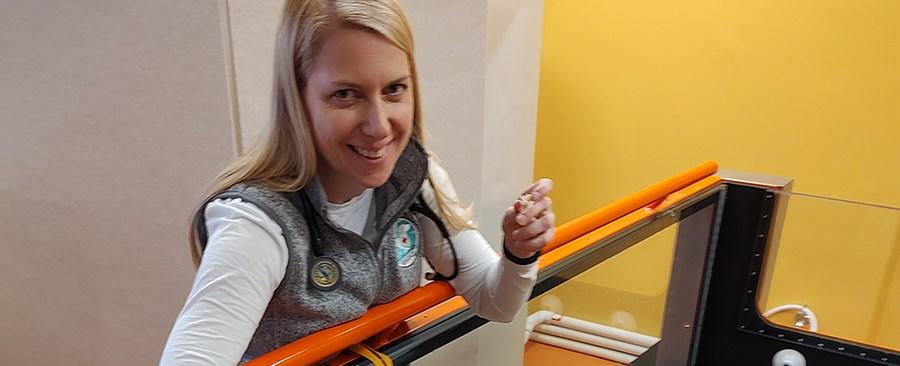 A Boston Vet Explains How to Keep Your Pet Happy and Healthy