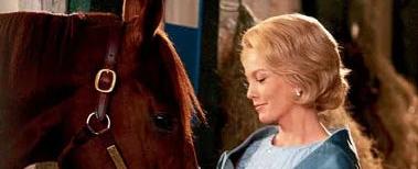 Kentucky Derby 2023: 10 Derby-themed movies, shows to watch this year