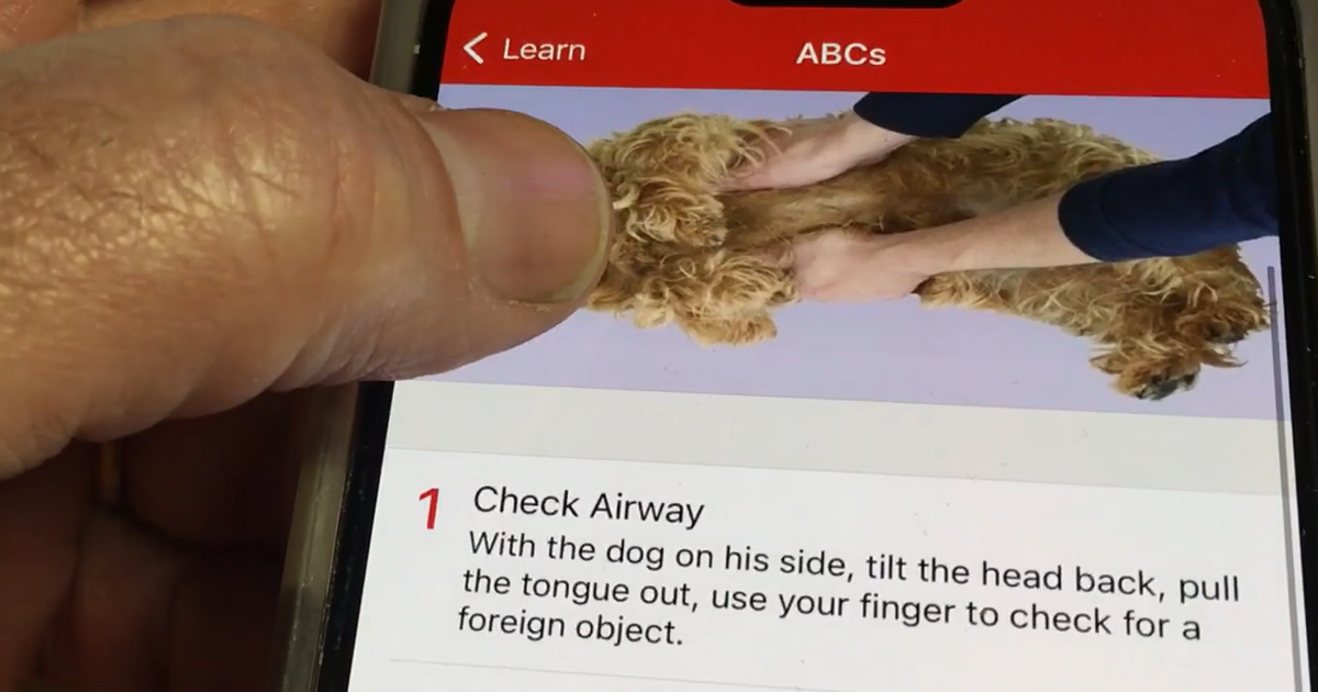 What the Tech: The free app that helps you help your pet