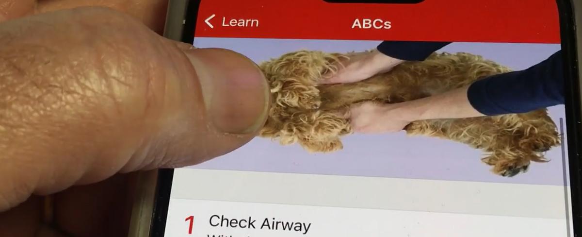 What the Tech: The free app that helps you help your pet