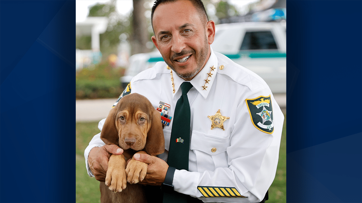 From puppy to protector: Meet LCSO’s newest recruit