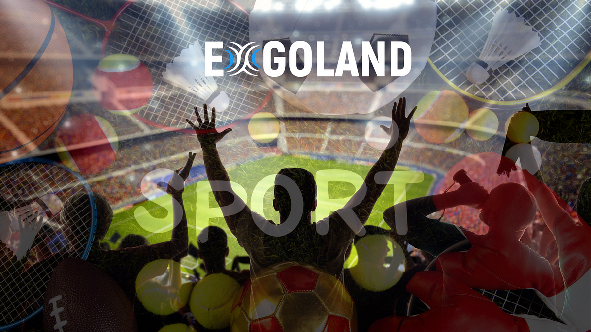 Enter the Metaverse: The Future of Sports and How it Will Benefit Fans, Teams, and Celebrities