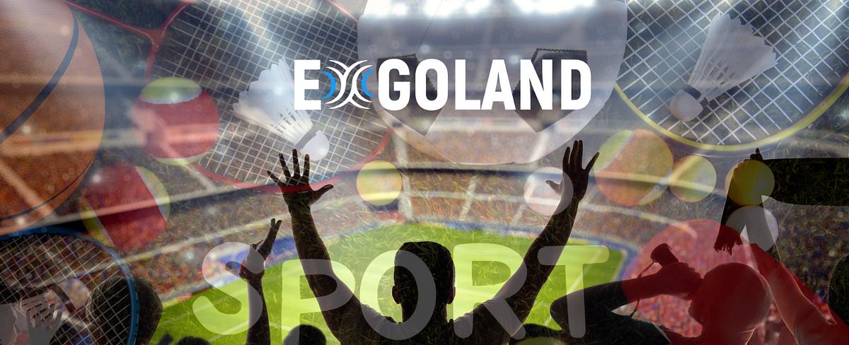 Enter the Metaverse: The Future of Sports and How it Will Benefit Fans, Teams, and Celebrities