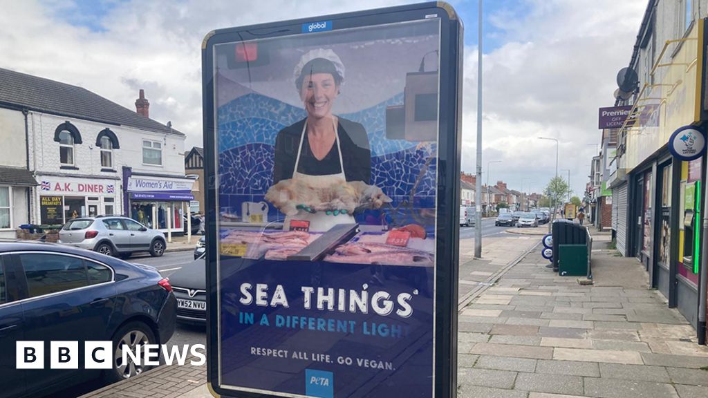 Eating fish same as eating cats, Cleethorpes animal rights poster suggests