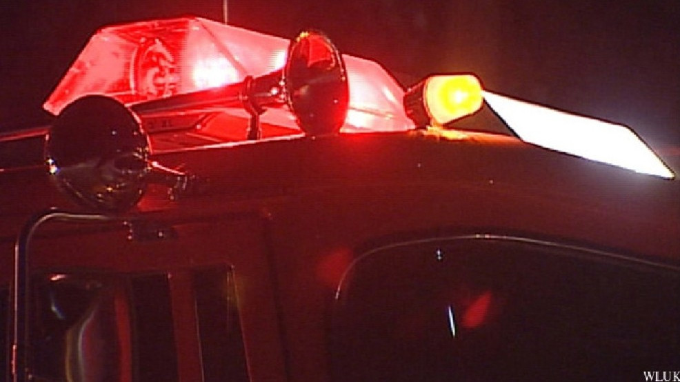 Cat rescued from fire in Manitowoc County